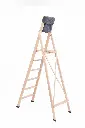 home6grNAT SACCA.webp