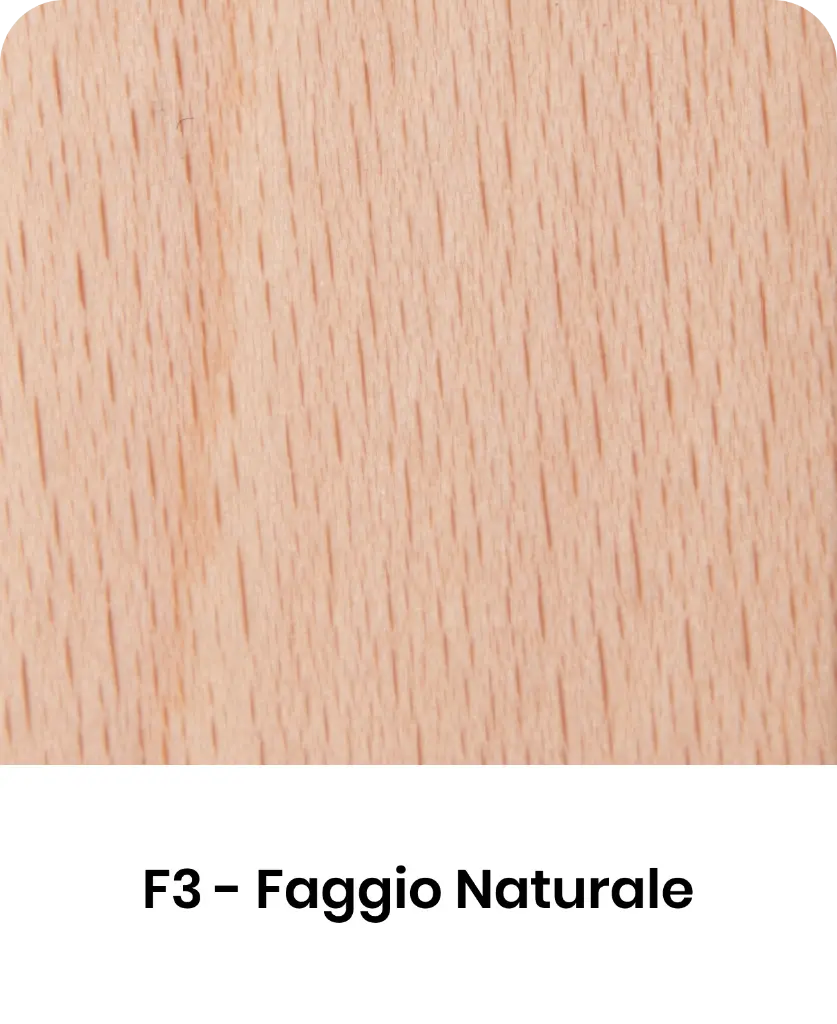 F3.webp