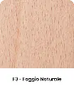 F3.webp