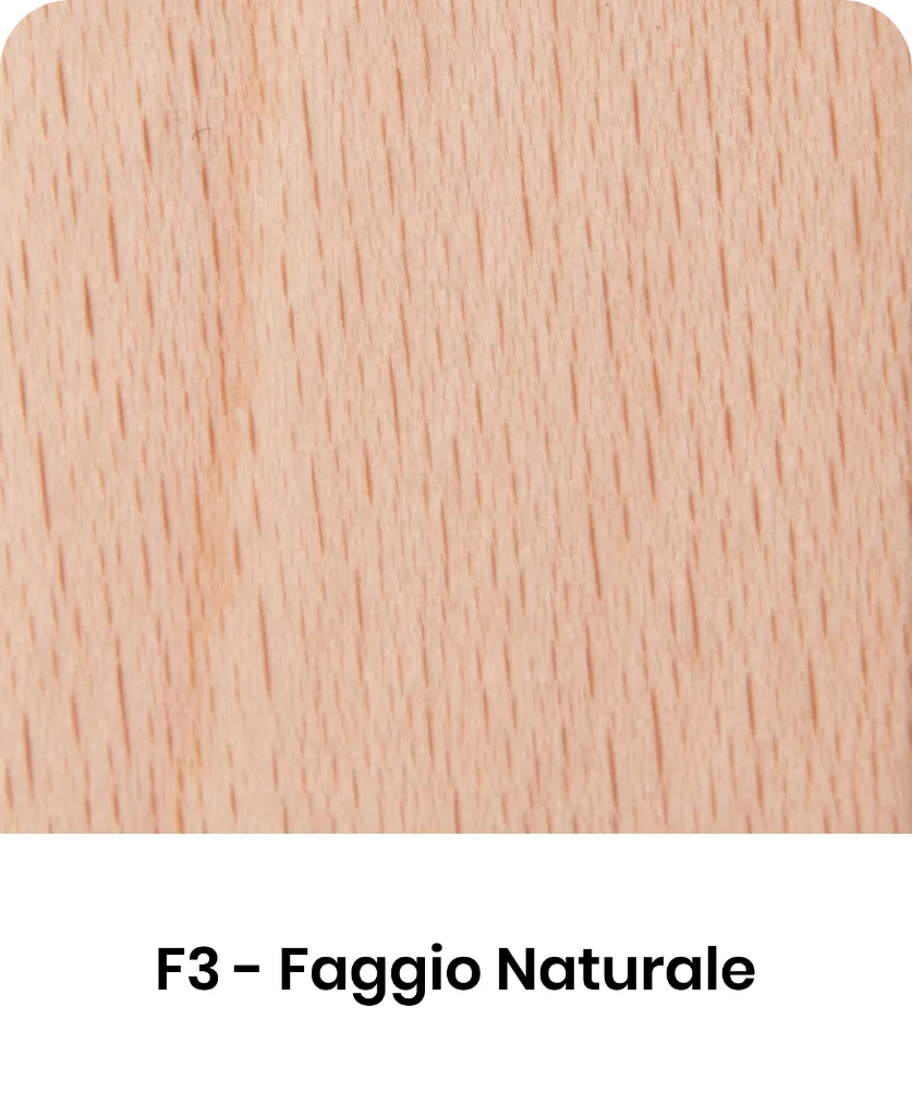 F3.webp