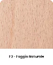 F3.webp