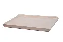 plana scontornata.webp