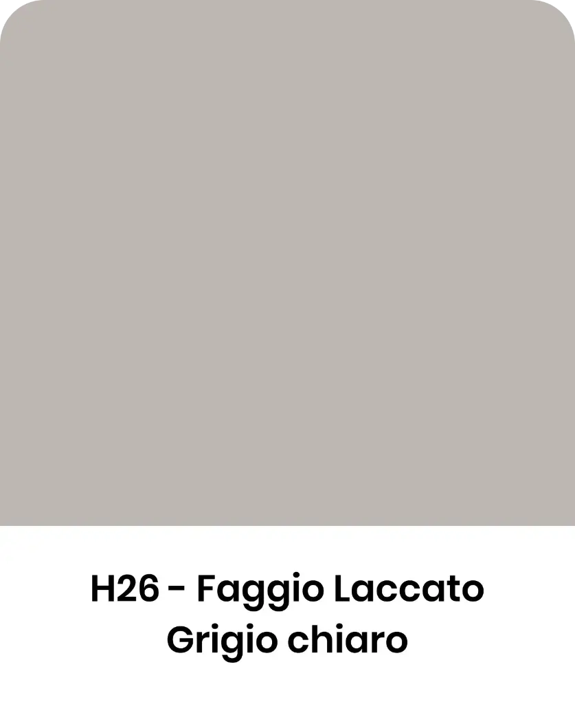 Stecco