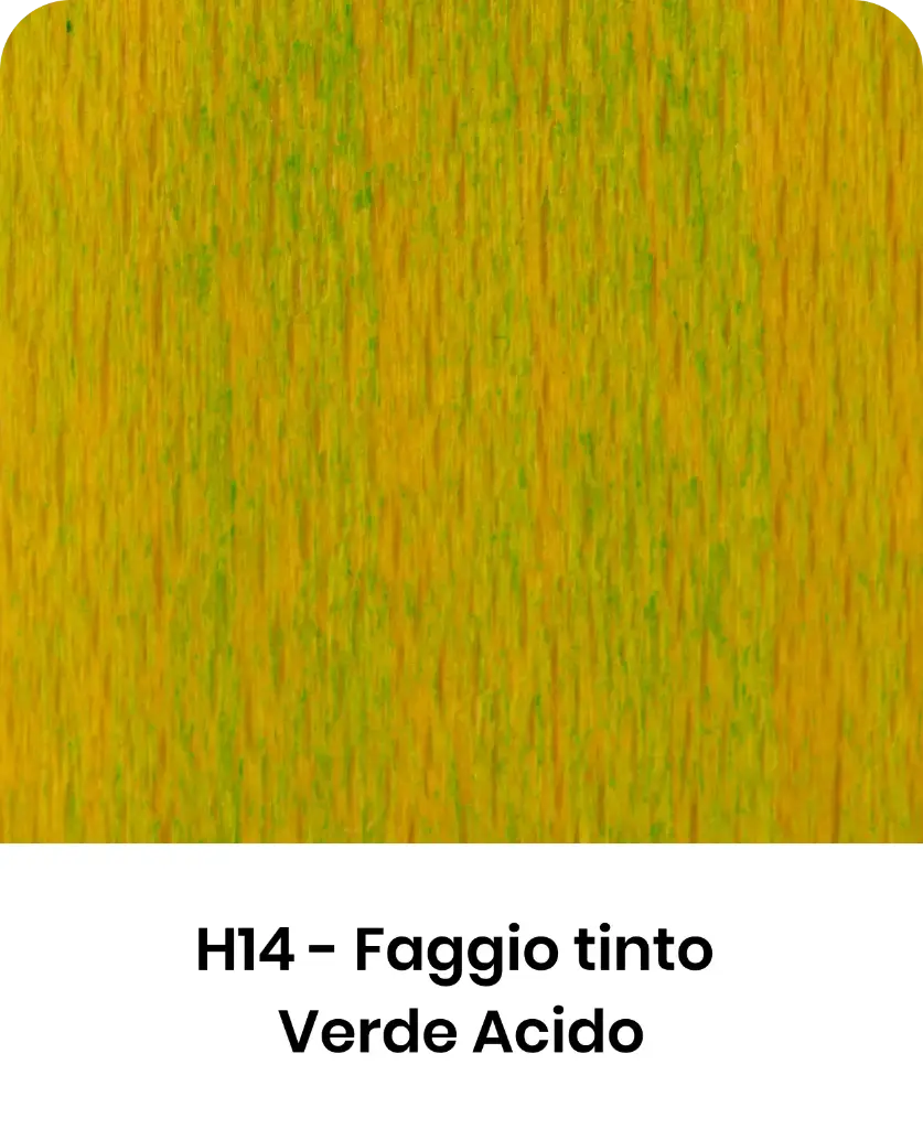 Stecco